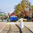 진영하모니숲 화장실 | 김해 아이랑 가볼만한곳 진영역사공원 가을 풍경