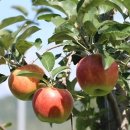 보령종합터미널 이미지