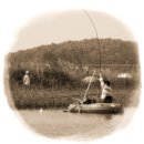 장안대교(밑) 이미지