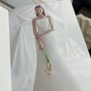 바이보니타