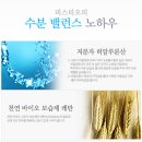 피스티오 이미지