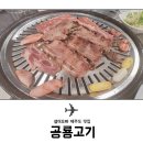 공룡고기 이미지