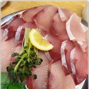 속초오징어어시장 안산고잔점 이미지