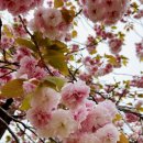 가락생태공원(2) 이미지