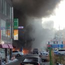 제천단양투데이 국민일보