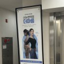 [신논현다이어트] 더마름 후기 체지방 감량&amp;바디디톡스까지