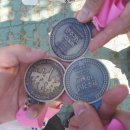 사파동309 이미지