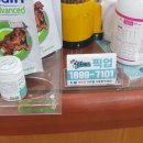 분평종합동물병원 이미지