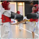 더원태권도 이미지