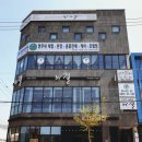 Vivid beauty(비비드뷰티)