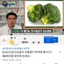 주식회사 위너스정보기술(10호) | 프로폴리스1000배!nk세포 활성화 자연영양소 [브로콜리추출물 브로리코]를 먹어보았어요♡