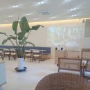 숨Coffee | 도심 속 오아시스를 찾았다, 온천장 커피노이(Coffee Noi) 카페 후기