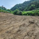 명호면사무소 이미지