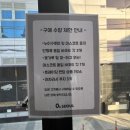 [홍대 팝업] 농담곰과 치이카와가 함께 있는 나가노 수족관! 나가노 마켓 팝업스토어 후기(250504 방문)