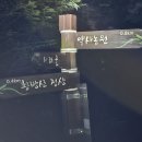 황방산 맨발걷기 이미지