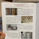 트립박스 이미지