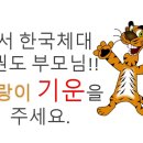 한국체대 진 태권도장 이미지
