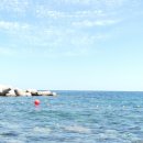 몽돌식육식당 이미지