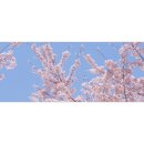 신선로 447번길 이미지