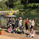 야호캠프 이미지