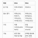 핵산 이미지