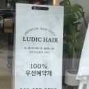 루딕헤어