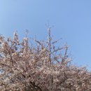 가정(루원시티)역(a89050) | 루원시티 속눈썹펌 만족 후기 가정동 속눈썹연장