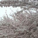 박씨네추어탕 - 김포시 | 박씨네추어탕