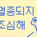 더블피원 네이버블로그