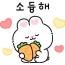 은해반려동물보조기 이미지