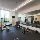 제이스쿼드짐 이미지