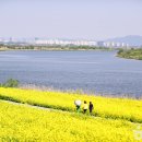 영산강둔치체육공원 이미지