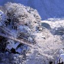 태양의 미소 이미지