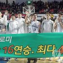 동부-16 이미지