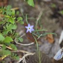 여주보 펜션 이미지