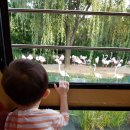 연성어린이집 이미지