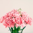 햇살가득의원 이미지