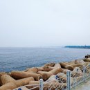 수미파크 이미지