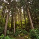 웨일로 서울김포공항점 이미지