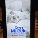 부연 농장 | MMCA 국립현대미술관 서울 &lt;론 뮤익 Ron Mueck&gt; 개인전 정보/해설/후기/인간 내면을 조각하다