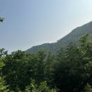 지친눈 힐링하러 모노레일타고 산으로