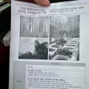 강원도 국내 패키지 여행 하나투어 당일여행 후기 속초관광수산시장 낙산해수욕장