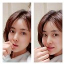 마로니에3 이미지