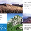 우신환경산업
