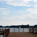 능제근린공원 이미지