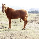 인산목장 이미지