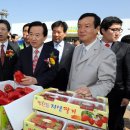 농축산물직거래센타 이미지