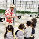 만승초교 병설유치원 이미지