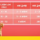 프리스키