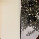 웨이브콜(wavecol) 이미지